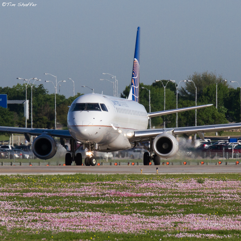 Illustration for article titled Airplanes and Wildflowers